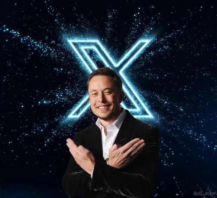 Elon Musk Hero